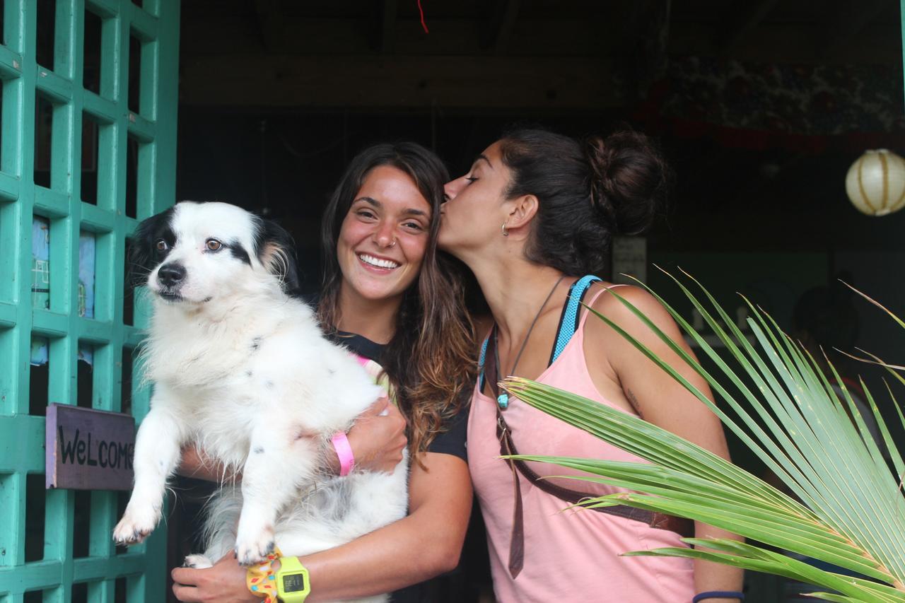 Coconut Hostel Bocas Town Esterno foto