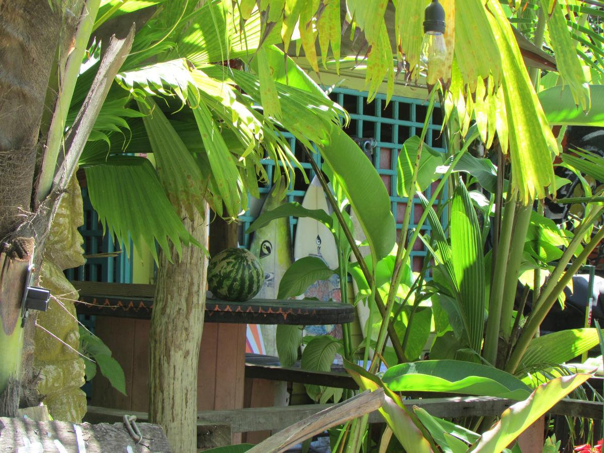 Coconut Hostel Bocas Town Esterno foto