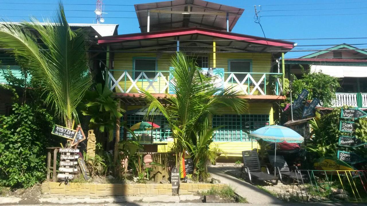 Coconut Hostel Bocas Town Esterno foto