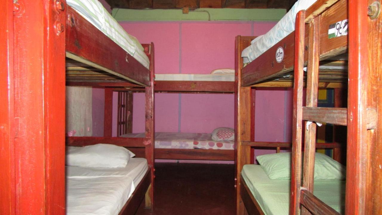 Coconut Hostel Bocas Town Esterno foto