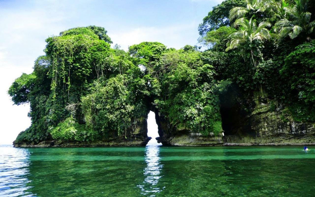 Coconut Hostel Bocas Town Esterno foto