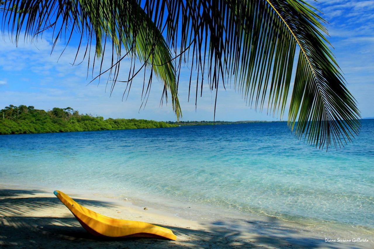 Coconut Hostel Bocas Town Esterno foto