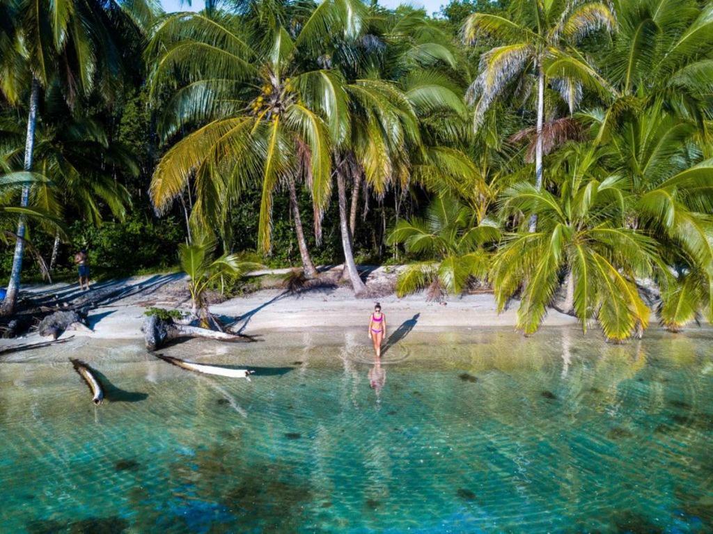 Coconut Hostel Bocas Town Esterno foto